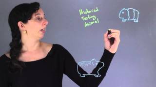 Why Is "Guinea Pig" Used as the Colloquial Term for Test Subjects? : Chemistry & Biology Concepts