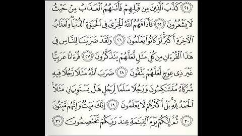 تلاوات مختارة سورة الزمر القارئ ناصر علي الغامدي