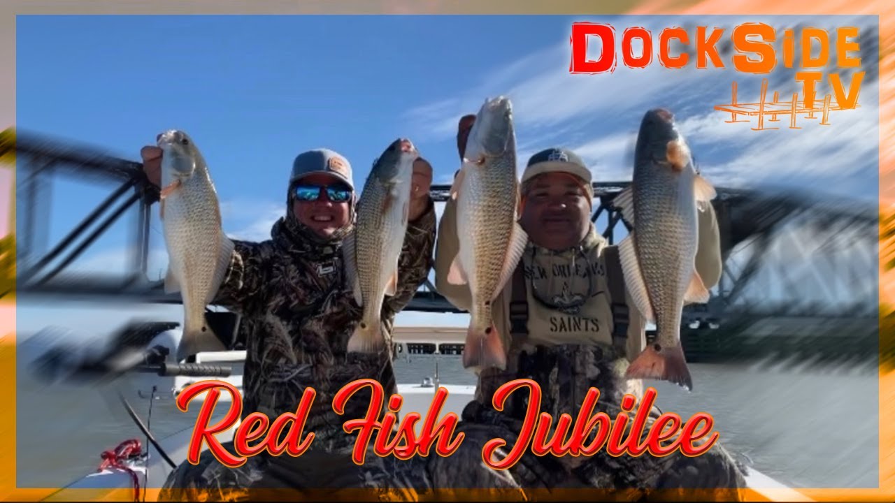 DockSide TV 'Red fish Jubilee'