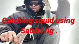 Catching squid using mackerel rig .