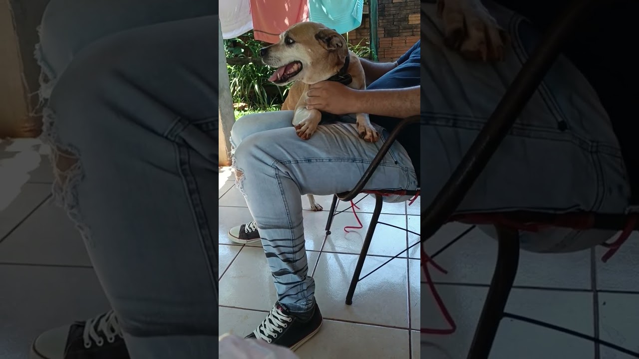 6 de janeiro de 2026