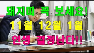 명리학으로 본 23년 계묘년 11월, 12월, 1월의 돼지띠 돈복 운세(47년, 59년, 71년, 83년, …