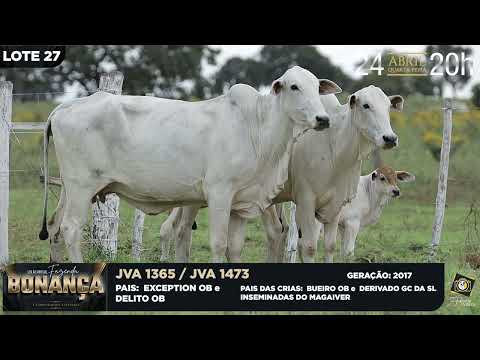 LOTE 27   JVA 1365,1473