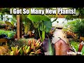 Shopping for plants  huge plant haul  saturday vlog