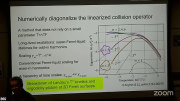 L. Levitov I - Electron Fluids (BSS 2025)