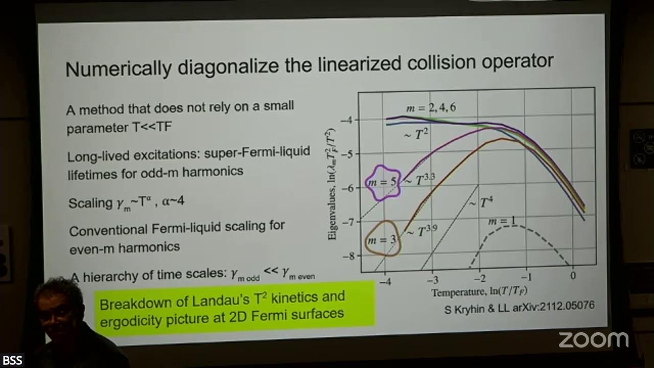 L. Levitov I - Electron Fluids (BSS 2025)
