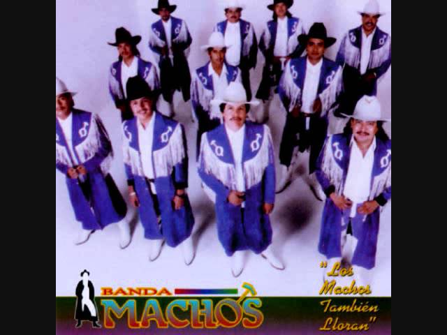 Banda Machos - Cumbia torera