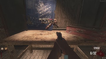 Treyarch ruined this weapon...