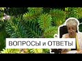 🔴 ВОПРОСЫ И ОТВЕТЫ. КОНСУЛЬТАЦИЯ ВРАЧА ОНЛАЙН. ВРАЧ Бублик Наталья Николаевна