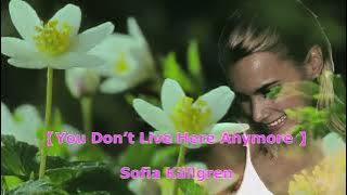 You Don’t Live Here Anymore   女人花 ——Sofia Källgren