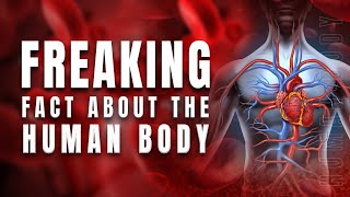 Freaking Facts About The Human Body - Mind-Blowing Quirk, Skeleton Secrets, Organ Mysteries Unveiled