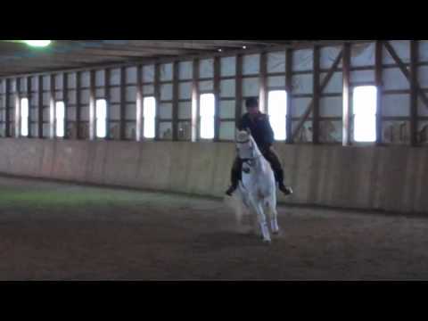 Sue Fraser Clinic Feb. 2010 Jessica & Alex