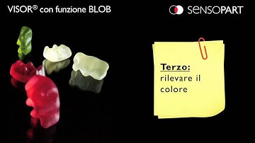 Sensore di Visione VISOR® con funzione BLOB
