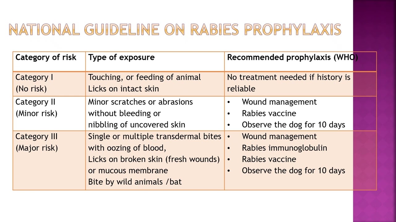 NURSING  16  MMR RABIES POLIO VIRUSES  DR  MUTHA