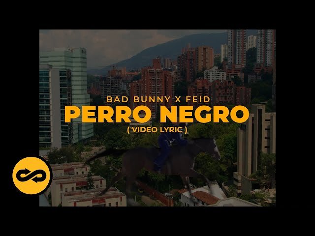 Bad Bunny ft. Feid - Perro Negro (Letra/Lyrics)  nadie sabe lo que va a  pasar mañana 