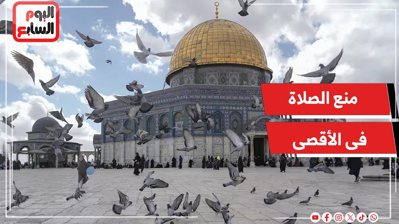 ���� ���� ���� ������ ���� ��� ������ ������� ������ ����� ����� �������
 - نشر قبل 2 ساعة