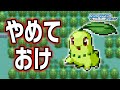 チコリータLv.5で冒険始めたらルビサファはキツい？ヌルい？