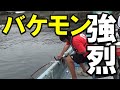 クエも釣ったけど「化け物」がエグかった
