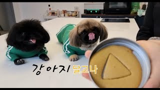 (오징어게임) 강아지달고나게임 & 강아지달고나만들기_DOG SUGER CANDY GAME (KOREA) screenshot 1