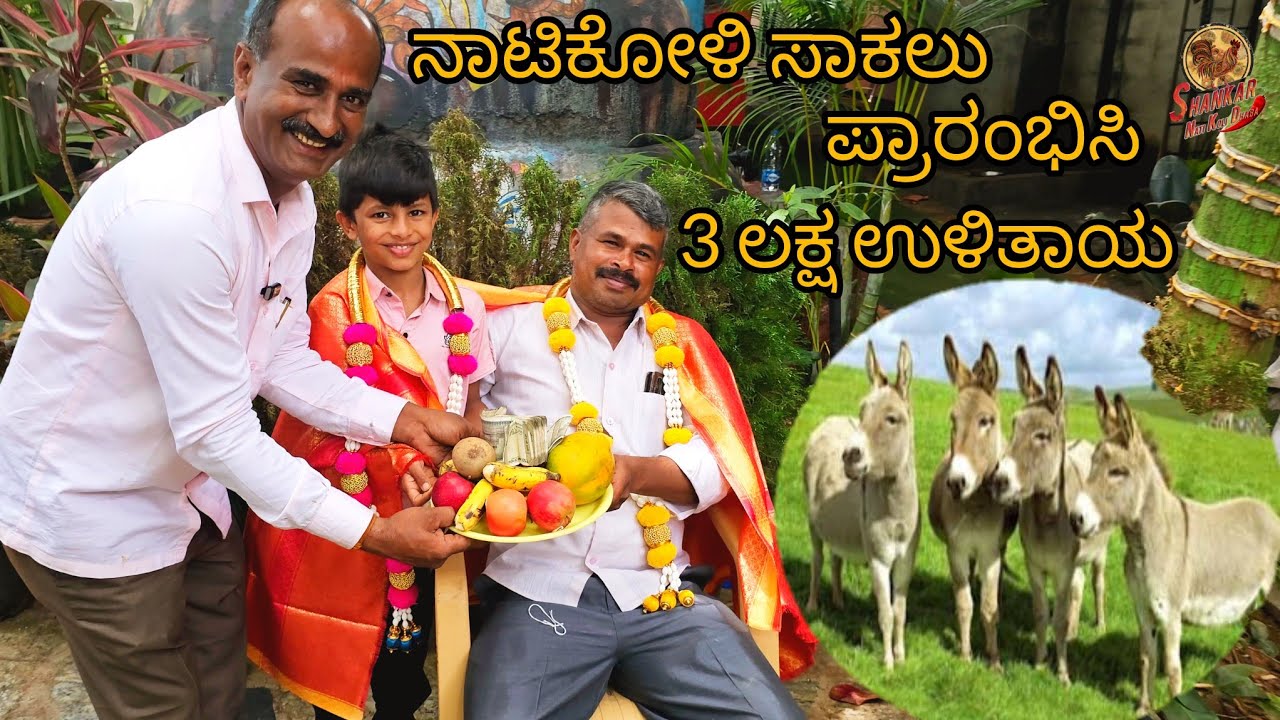 ಕತ್ತೆ ಸಾಕಲೆಂದು ಒರ್ಜಿನಲ್ ನಾಟಿಕೋಳಿ ಸಾಕಾಣಿಕೆ.Instead of donkey farming , planting of original natikoli