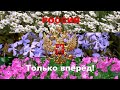 РОССИЯ.  Только вперёд!