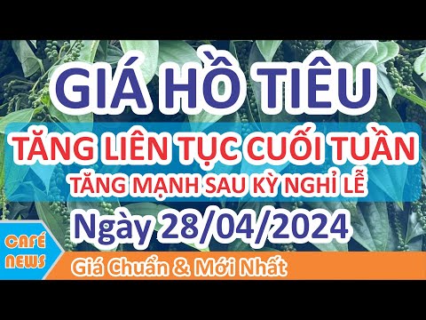 Giá hồ tiêu hôm nay ngày 28/04/2024 