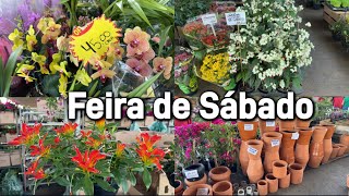 Feira de sábado Com Promoção dia das Mães