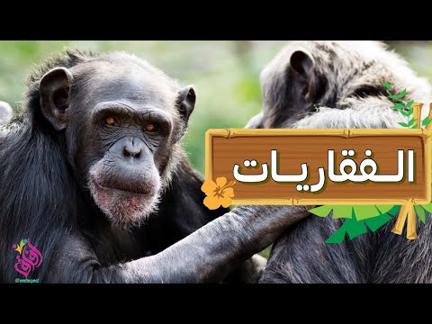 الفقاريات تعريفها و تصنيفها الأسماك الزواحف البرمائيات الطيور الثديات