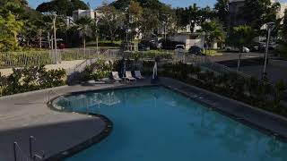 my pool  at moanalua hillside apartmeants