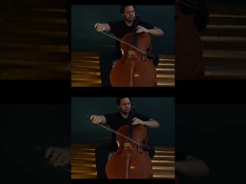 Ohne Dich by Rammstein #cello #cover #rammstein #music