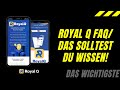 Royal Q Bot FAQ / Die 10 häufigsten Fragen