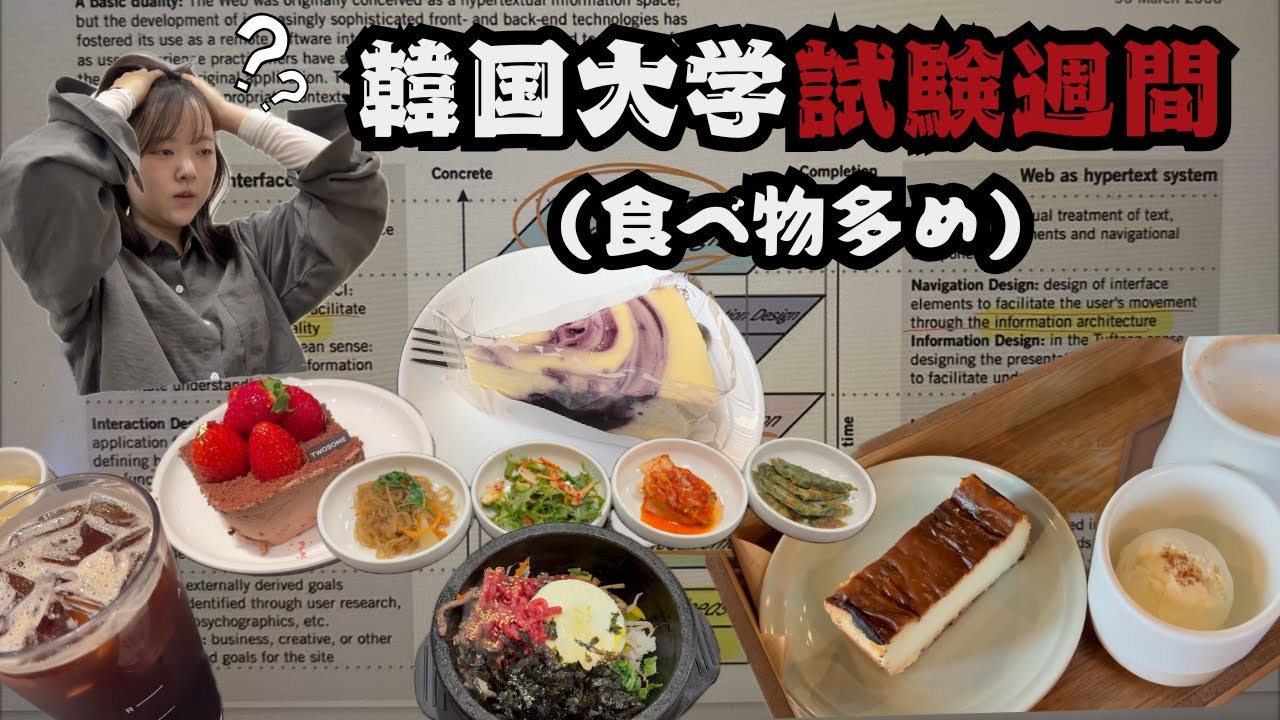 【韓国留学Vlog】韓国大学生の試験週間ってこんな感じ📚🇰🇷😵