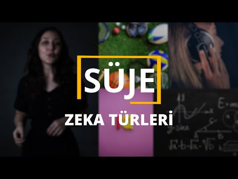 Video: Lüks kalçalar yüksek zekanın bir işaretidir