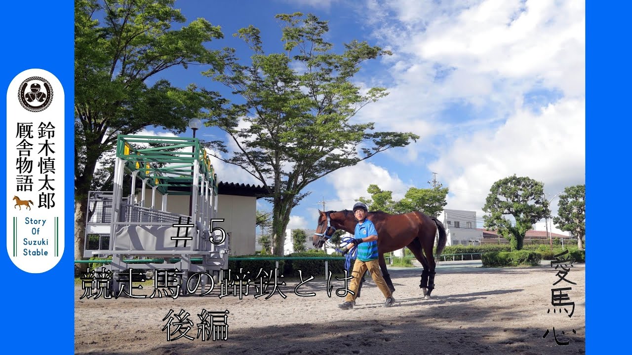 鈴木慎太郎厩舎物語】#5 競走馬の「装蹄・削蹄」とは （後編