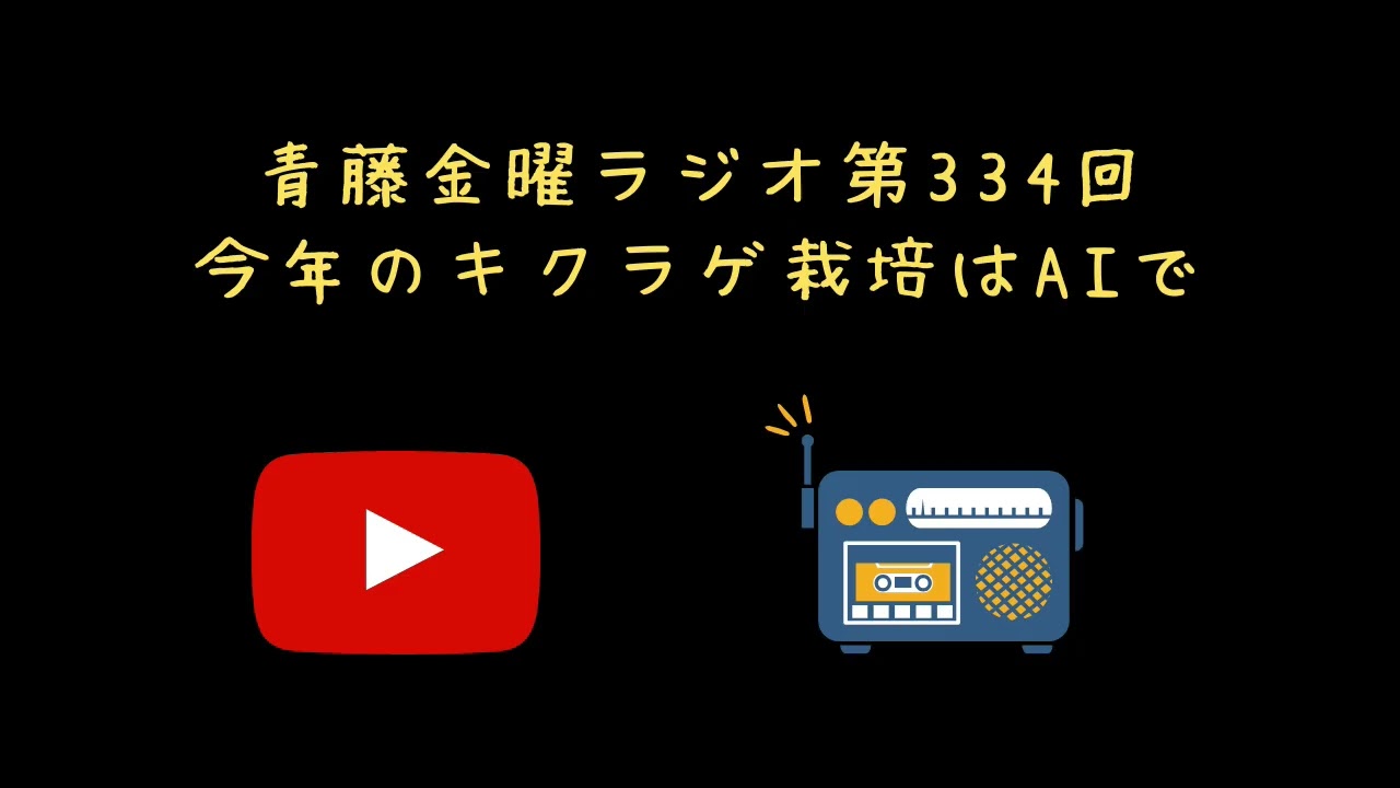 今年のキクラゲ栽培はAIで【青藤金曜ラジオ第334回】