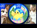 The hunt how to get the badge from warrior cats ultimate edition roblox the hunt event 2024