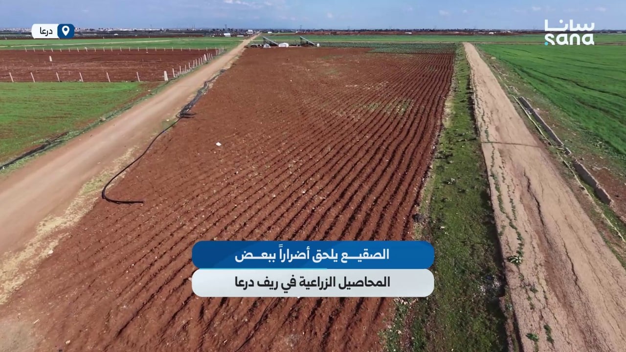 الصقيع يلحق أضراراً ببعض المحاصيل الزراعية في ريف درعا