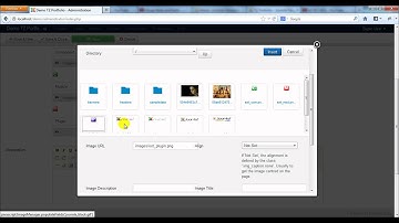 [TZ Portfolio v3] How to create group field and field?