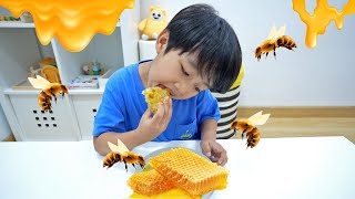 Kyo Makan Madu Dari Sarang Lebah