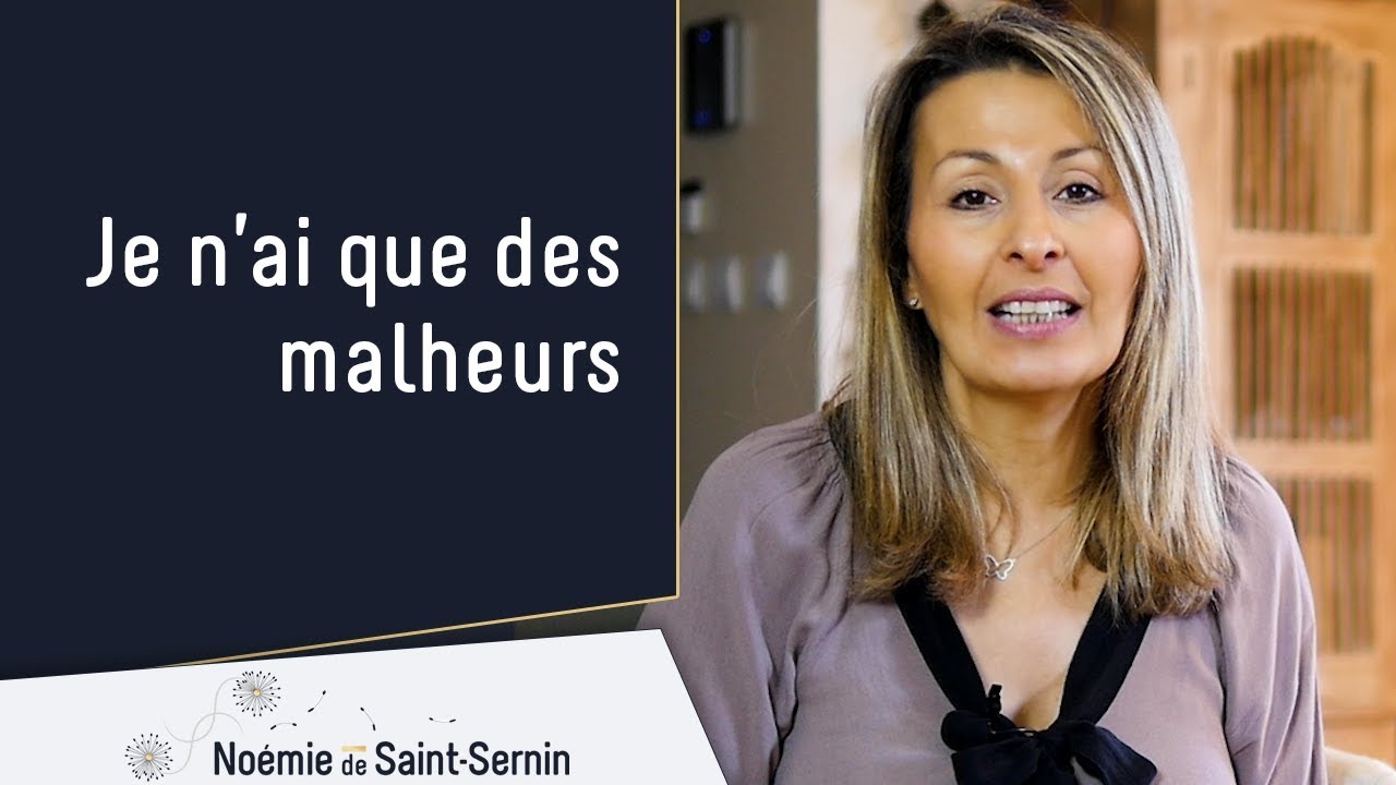 LES MALHEURS DE SOPHIE - EP01 - Les fruits confits