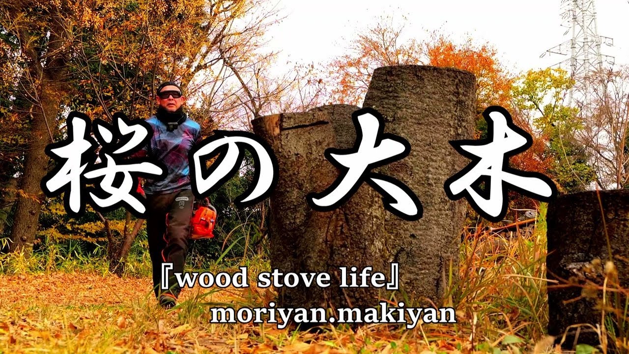 【薪ストーブのある家】桜の大木を玉切りし、仮置き場まで搬送する作業