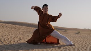 Shaolin Kung Fu  Tong Bi Quan