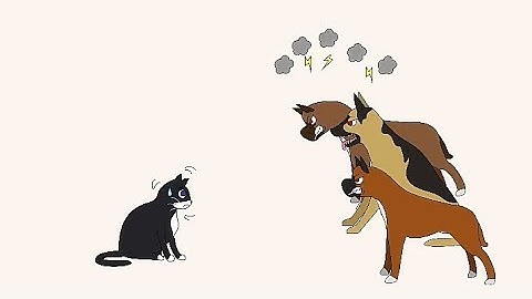 brainscape Level 14 gameplay walkthrough (Android, iOS)  #brainscapealllevel #trydra #brainscape