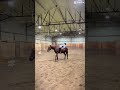 Literally the best pony
