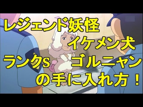 妖怪ウォッチぷにぷに レジェンド妖怪 イケメン犬とゴルニャン友達になる方法 Youtube