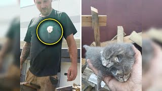 Man Hears Kittens Meowing, Spends 7 Hours Digging In Dumpster To Save Ditched Litter Of Furballs by videoinspirational 1,384 views 2 years ago 2 minutes, 42 seconds