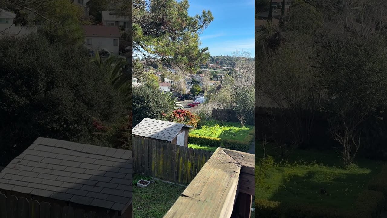 Excellent View! Hey cuzn’s! Miss y’all! 