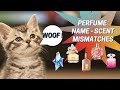 Perfume Names That Don’t Match The Juice Unexpected Confusing Perfumes | Tag by The Savvy Specialist