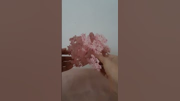 Sakura tree pop-up card from Japan