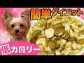 【簡単低カロリー】手作り犬ご飯の作り方！ダイエットごはん作り置き公開【犬の健康レシピ】
